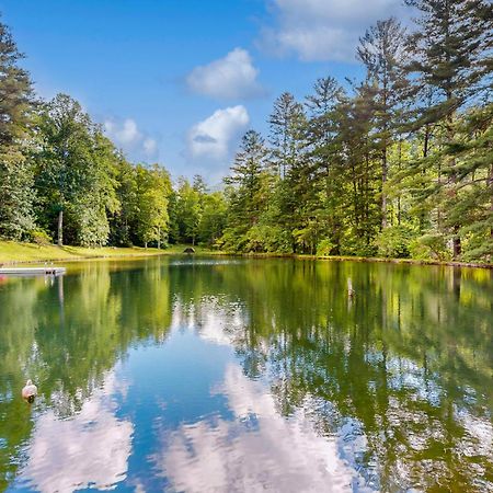 Вилла Bull Creek Peaceful Escape Эшвилл Экстерьер фото