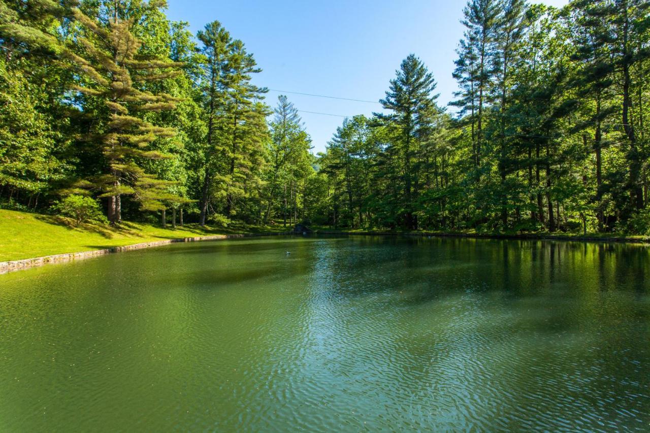 Вилла Bull Creek Peaceful Escape Эшвилл Экстерьер фото